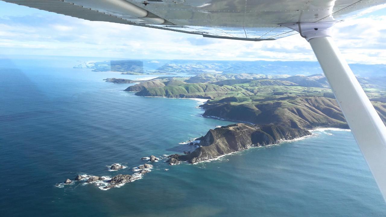 Kaka Point Spa Accommodation - Catlins Екстериор снимка