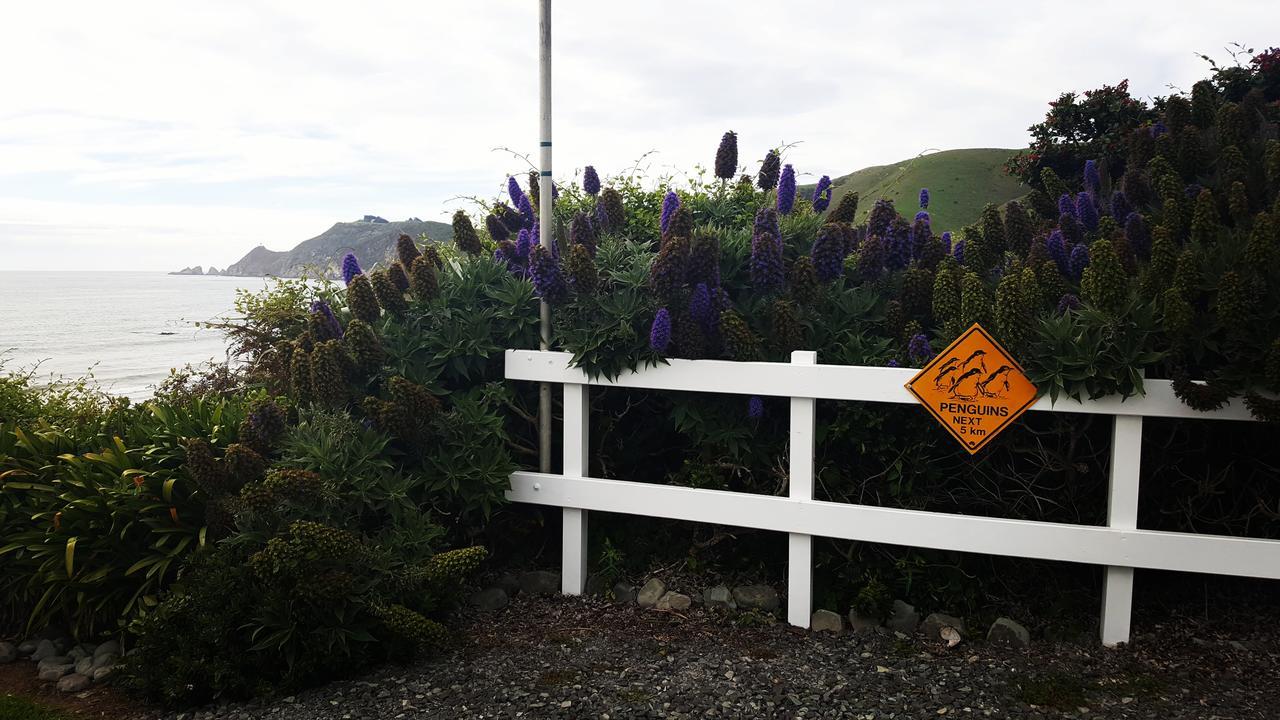 Kaka Point Spa Accommodation - Catlins Екстериор снимка