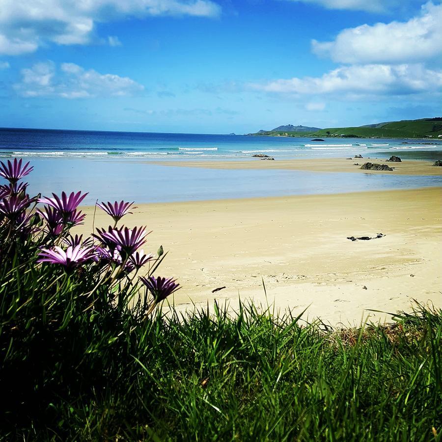Kaka Point Spa Accommodation - Catlins Екстериор снимка